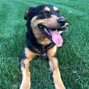 Meet your Posher, Gregory